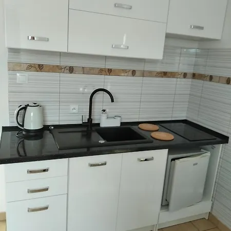 Aleksander בית הארחה